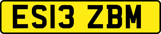 ES13ZBM