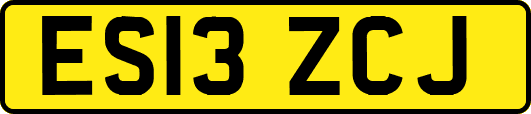 ES13ZCJ