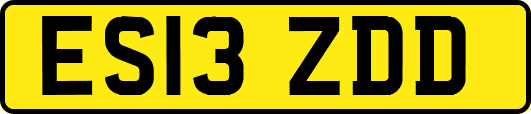 ES13ZDD