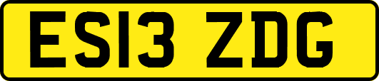 ES13ZDG