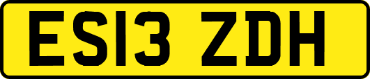 ES13ZDH
