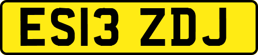 ES13ZDJ