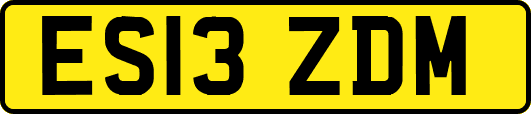 ES13ZDM