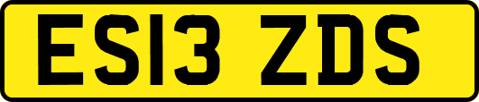 ES13ZDS