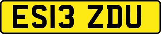ES13ZDU