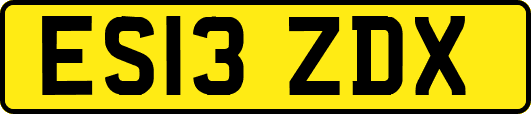 ES13ZDX