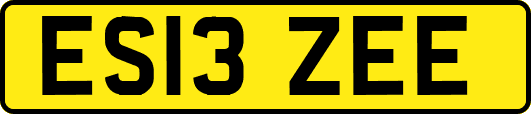 ES13ZEE