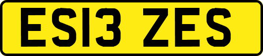 ES13ZES