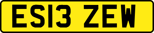 ES13ZEW