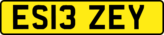 ES13ZEY
