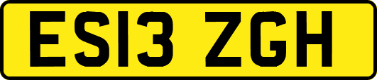 ES13ZGH
