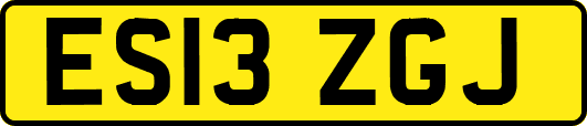 ES13ZGJ