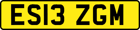 ES13ZGM