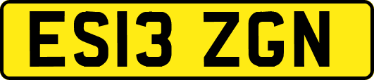 ES13ZGN