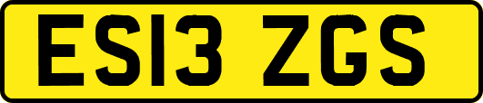 ES13ZGS