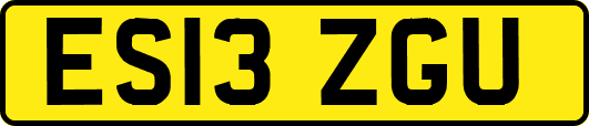 ES13ZGU
