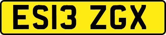 ES13ZGX