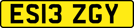 ES13ZGY