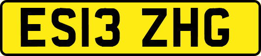 ES13ZHG