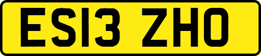 ES13ZHO