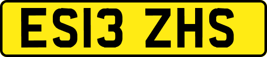 ES13ZHS