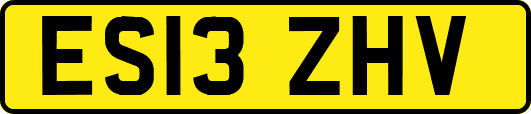 ES13ZHV
