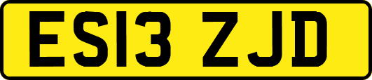 ES13ZJD