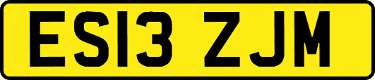 ES13ZJM
