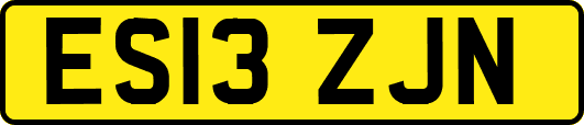 ES13ZJN