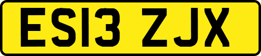 ES13ZJX
