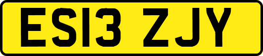 ES13ZJY