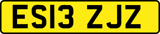 ES13ZJZ
