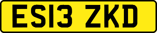 ES13ZKD