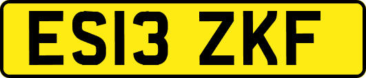 ES13ZKF
