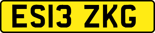 ES13ZKG