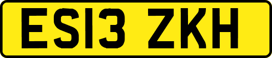 ES13ZKH