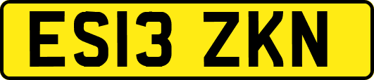 ES13ZKN