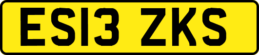 ES13ZKS