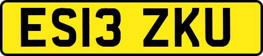 ES13ZKU