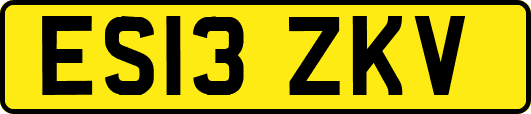 ES13ZKV