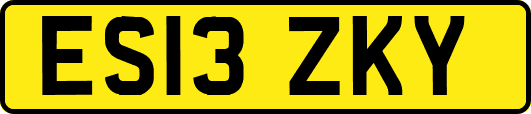 ES13ZKY