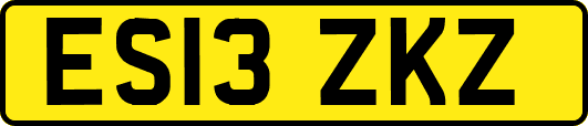 ES13ZKZ