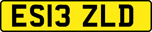 ES13ZLD