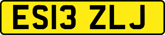ES13ZLJ