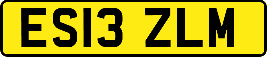 ES13ZLM