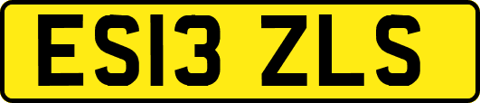 ES13ZLS