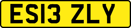 ES13ZLY
