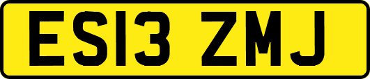 ES13ZMJ