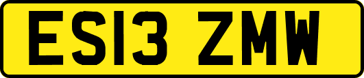 ES13ZMW