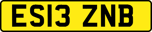 ES13ZNB